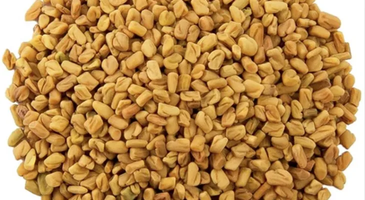 Fenugreek Health Benefits: मेथी दाना का है जादुई प्रयोग, ब्लड शुगर और दिल की बीमारियों में कारगर