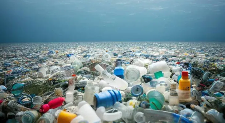 Harmful plastic: पर्यावरण को सबसे ज्यादा नुकसान पहुंचाता है प्लास्टिक, सतर्कता और जागरूकता है ज़रूरी