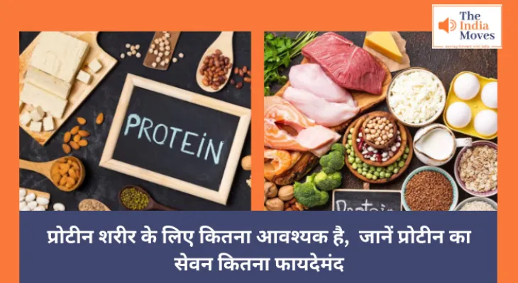 Health : प्रोटीन शरीर के लिए कितना आवश्यक है,  जानें प्रोटीन का सेवन कितना फायदेमंद