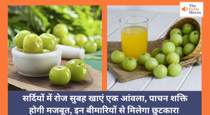 Gooseberry : सर्दियों में रोज सुबह खाएं एक आंवला, पाचन शक्ति होगी मजबूत, इन बीमारियों से मिलेगा छुटकारा