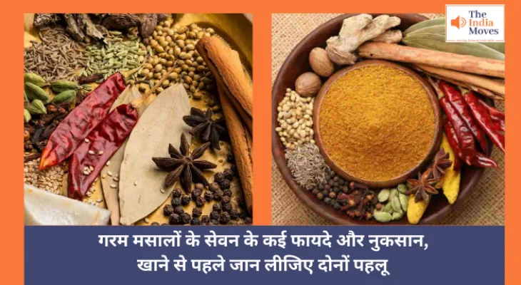 Garam Masala :  गरम मसालों के सेवन के कई फायदे और नुकसान, खाने से पहले जान लीजिए दोनों पहलू