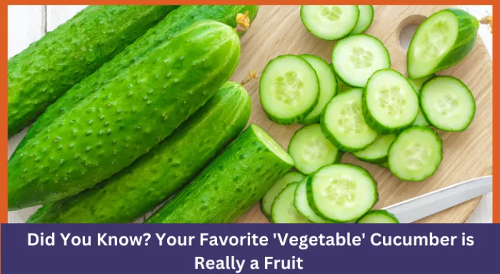 Did You Know? Your Favorite 'Vegetable' Cucumber is Really a Fruit