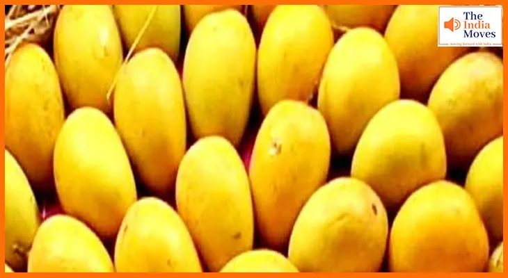 अमेरिका ने ठुकराए भारत के आम, हुआ करोड़ों का नुकसान