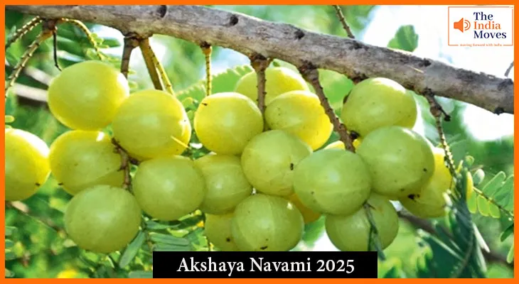 Akshaya Navami 2025:जानें क्यों कार्तिक महीने में की जाती है आंवले की पूजा और पूजा विधि