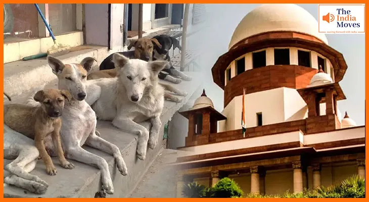 आवारा कुत्तों के मामले में सुप्रीम कोर्ट ने फैसला सुरक्षित रखा, कहा-कोई भी जानवरों से नफरत नहीं करता