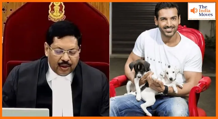 सुप्रीम कोर्ट का आवारा कुत्तों पर फैसला बदलने के आसार? CJI गवई के बयान से डॉग लवर्स में उम्मीद