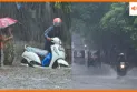 देशभर में मानसून सक्रिय, कई राज्यों में भारी वर्षा की संभावना, जानिए आज का मौसम