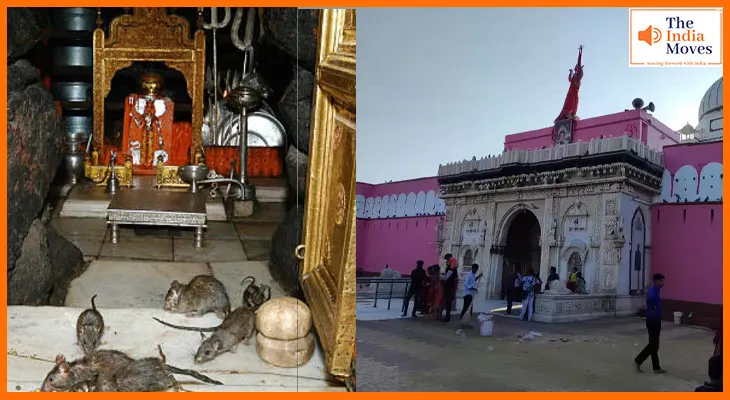 चूहे होते हैं पूजनीय, करणी माता मंदिर का अनोखा चमत्कारी रहस्य