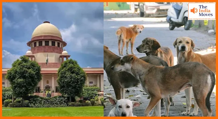 सुप्रीम कोर्ट का बड़ा फैसला, शेल्टर से छोड़े जाएंगे आवारा कुत्ते
