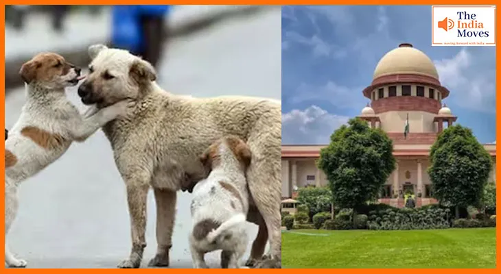 आवारा कुत्तों पर सुप्रीम का बड़ा फैसला आज, राहत मिलेगी या बढ़ेगी टेंशन?