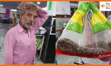 उदयपुर में अनोखा मामला: सांप ने काटा तो थैली में भरकर अस्पताल पहुंचा युवक, डॉक्टर भी रह गए हैरान