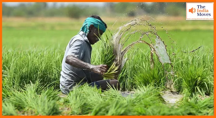 UP Fasal Bima Yojana: 31 जुलाई तक कराएं खरीफ फसलों का बीमा, जानें पूरी प्रक्रिया और लाभ